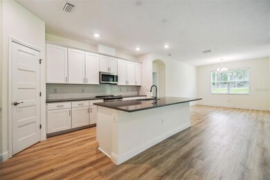 11347 Striped Bass Ct, New Port Richey, FL 34654 - photo 4