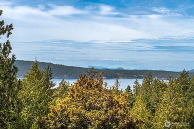 308 Kimple Ln, Eastsound, WA 98245 - photo 6