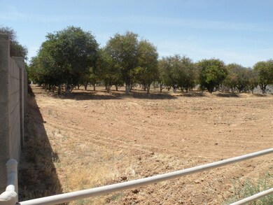 back of lot 3