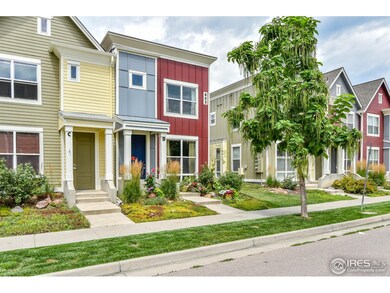 803 Heschel St, Fort Collins, CO 80524 - photo 3