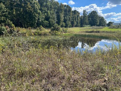21021 State Route M, Newburg, MO 65550 - photo 2