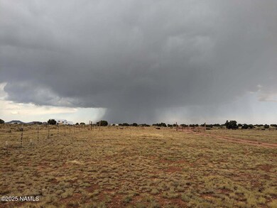 2515 E Wingfield Rd, Valle, AZ 86046 - photo 5