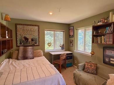 118 Alexander Overlook unit SV141, Telluride, CO 81435 - photo 7