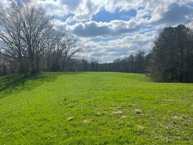 View of green lawn featuring a forest view and a v