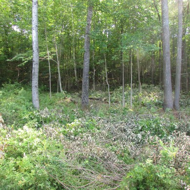 00 South St, Littleton, NH 03561 - photo 5