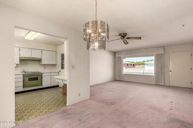12 - Ellis 6027