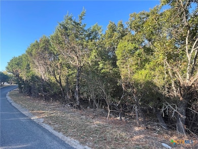 15723 Salado Dr, Temple, TX 76502 - photo 4