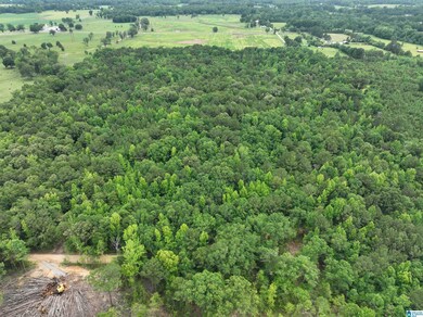 0 Jackson Farm Rd unit 21420738, Wilsonville, AL 35186 - photo 7