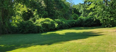 View of tree lined backyard