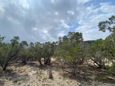 3814 Smithson Ridge Rd, San Antonio, TX 78261 - photo 4