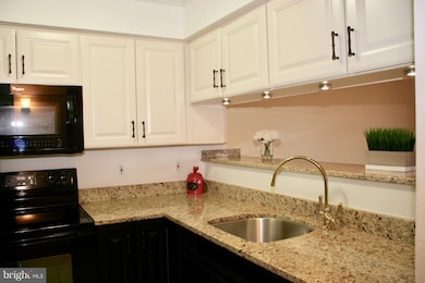 1504 Lincoln Way unit 427, McLean, VA 22102 - photo 5