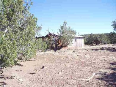 Additional Photo of the cabin and views
