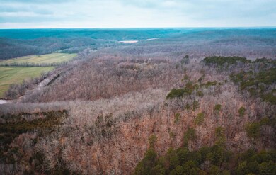 0000 County Road 7340, Newburg, MO 65550 - photo 6