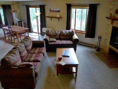 6 Summit Vista Rd unit 6B1, Bartlett, NH 03838 - photo 4