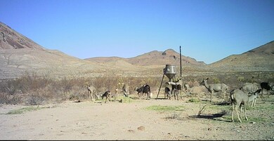 27236 Huff Rd, Terlingua, TX 79852 - photo 3