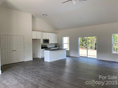 379 Moose Club Rd, Statesville, NC 28677 - photo 5