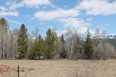 Looking North