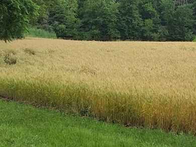 12156 E Bunny Farm Rd, Mount Vernon, IL 62864 - photo 6