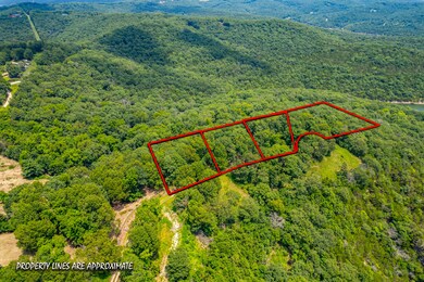 Lots 8-12 Cliffside Dr, Flat Creek B Township, MO 65656 - photo 3