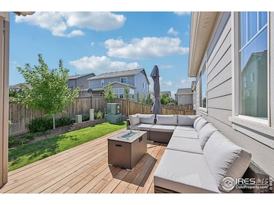 3708 White Rose Loop, Castle Rock, CO 80108 - photo 7