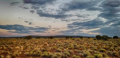 20200916_182049-HDR