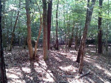 View of wooded area