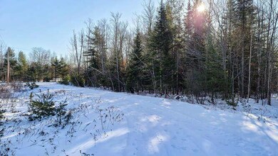Lot 3 Mcgrath Pond Loop Rd 4