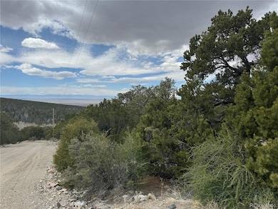 338 Cedar Ridge Rd, Mosca, CO 81146 - photo 5