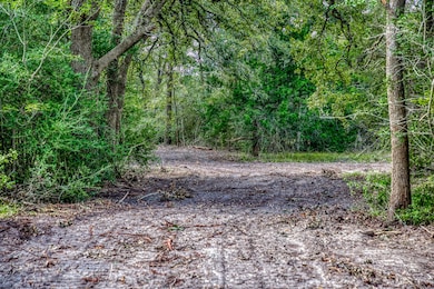 Tract 2 Sun Oil Rd, Brenham, TX 77833 - photo 3