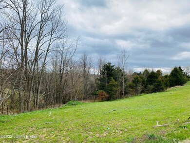 2549 Brush Grove Rd unit TR3, Willisburg, KY 40078 - photo 6