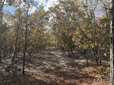 0 Fox Rd, Marston, NC 28363 - photo 3