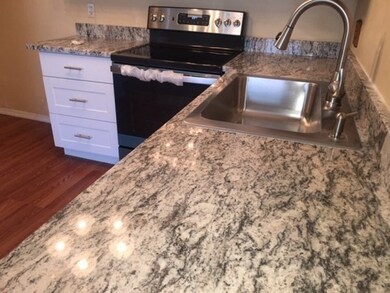 50 Carey Ave unit 5, Watertown, MA 02472 - photo 5