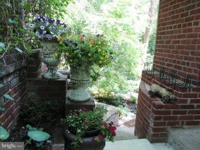 908 Larch Ave, Takoma Park, MD 20912 - photo 5