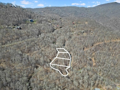 15 Chestnut Village unit 15, Mars Hill, NC 28754 - photo 3