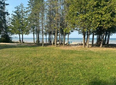 4525 Straits View Dr, Carp Lake, MI 49718 - photo 5