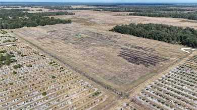 6800 Goose Pond Rd, Ona, FL 33865 - photo 4