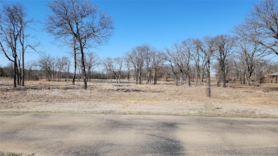 50459 N Lakeview, Pawnee, OK 74058 - photo 4