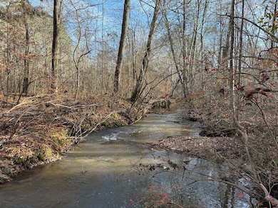 County Rd 208, Heflin, AL 36264 - photo 7