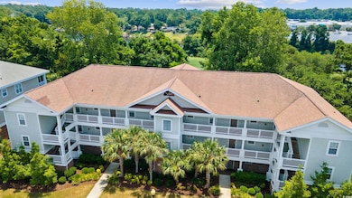 View of bird's eye view