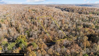 0 Cuba Landing Rd unit RTC3059775, Waverly, TN 37185 - photo 4