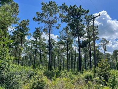 0 Cr 257 unit 22715481, Jasper, TX 75951 - photo 4