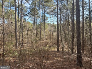 0 Ruckersville Rd unit 10490441, Elberton, GA 30635 - photo 7