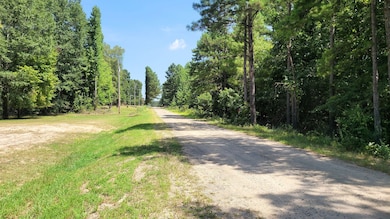 Sassafras Trail, White Hall, AR 71602 - photo 7