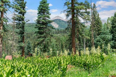 Tract 11 Lime Creek Rd, Durango, CO 81301 - photo 5