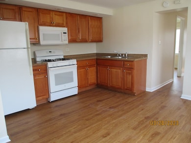 4215 W 87th St unit 2, Hometown, IL 60456 - photo 4