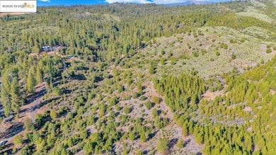 0000 Jackass Creek Rd, Groveland, CA 95321 - photo 3