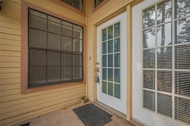 16800 Sugar Pine Dr unit D28, Houston, TX 77090 - photo 3