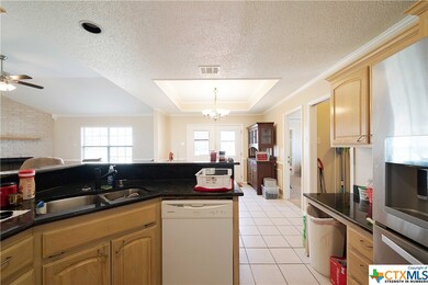 256 County Road 453, Troy, TX 76579 - photo 5