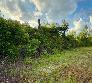 23+/- Acres