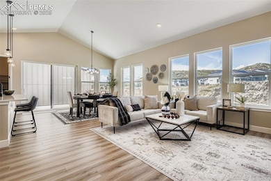 2011 Grayside Cir, Castle Rock, CO 80109 - photo 3